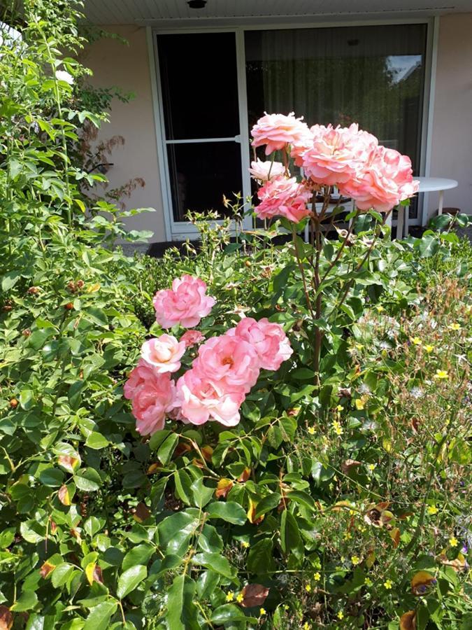 Entire House, Quiet City Location, Garden, Parking Білефельд Екстер'єр фото